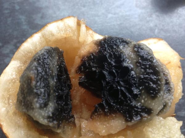 What on earth is inside my pear?
