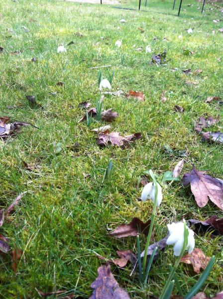…if winter comes, can Spring be far behind? 2014 beckons us...