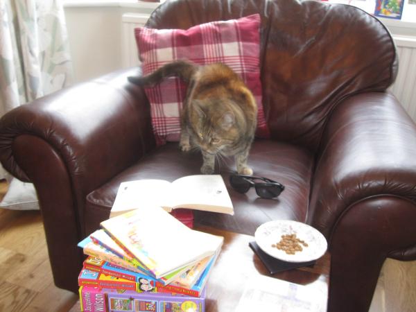 Share your favourite pet pictures for a chance to win £100 John Lewis voucher and copies of Jacqueline Wilson's Paws and Whiskers