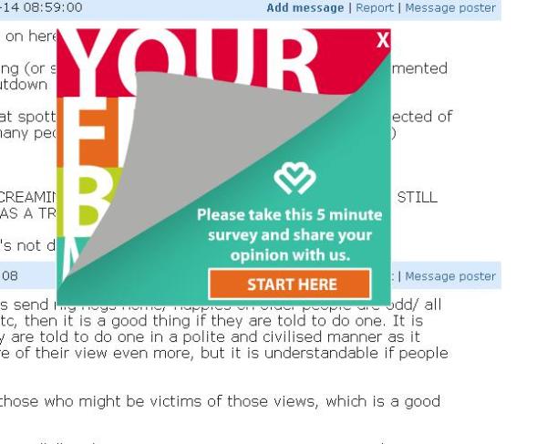Feedback/Survey Pop Up.