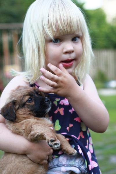 Share your favourite pet pictures for a chance to win £100 John Lewis voucher and copies of Jacqueline Wilson's Paws and Whiskers