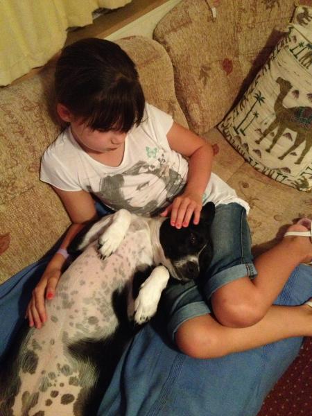 Share your favourite pet pictures for a chance to win £100 John Lewis voucher and copies of Jacqueline Wilson's Paws and Whiskers