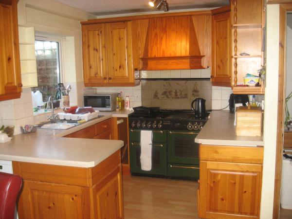 Help design my new kitchen!