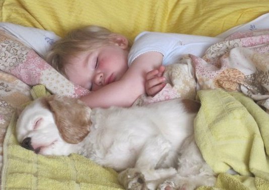 Share your favourite pet pictures for a chance to win £100 John Lewis voucher and copies of Jacqueline Wilson's Paws and Whiskers