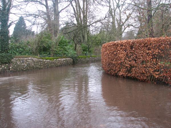 Flood water contaminated by sewage.