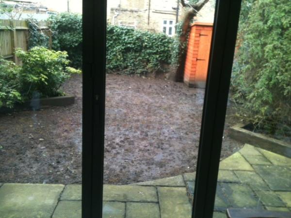 Anyone fancy helping me turn a small, dark swamp of a garden into a family friendly green oasis?