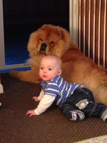 Share your favourite pet pictures for a chance to win £100 John Lewis voucher and copies of Jacqueline Wilson's Paws and Whiskers
