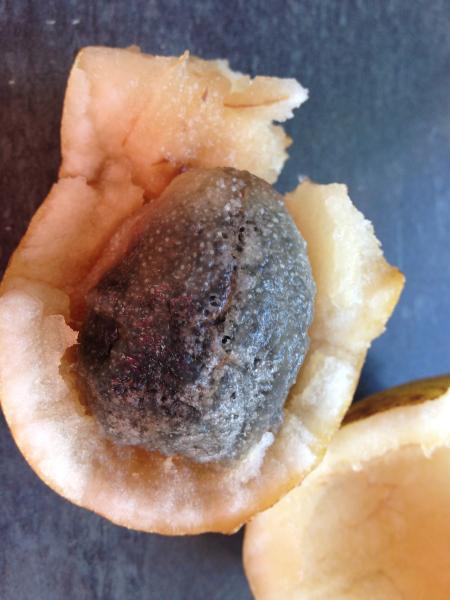 What on earth is inside my pear?