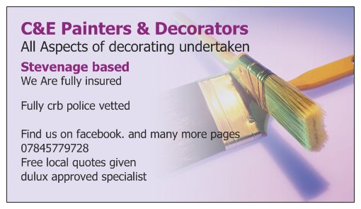 Need a painter and decorator ?
