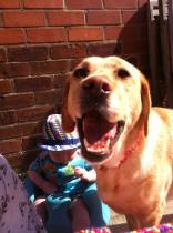 Share your favourite pet pictures for a chance to win £100 John Lewis voucher and copies of Jacqueline Wilson's Paws and Whiskers