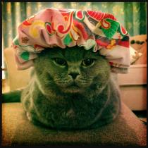 Share your favourite pet pictures for a chance to win £100 John Lewis voucher and copies of Jacqueline Wilson's Paws and Whiskers