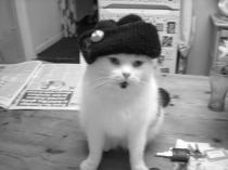 Share your favourite pet pictures for a chance to win £100 John Lewis voucher and copies of Jacqueline Wilson's Paws and Whiskers