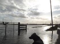 Flood watch - add your images