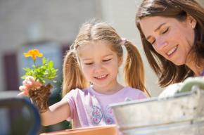 Win a Green Fingered Mother's Day Gift - Frosts Garden Centre at Brampton - Saturday 29th March