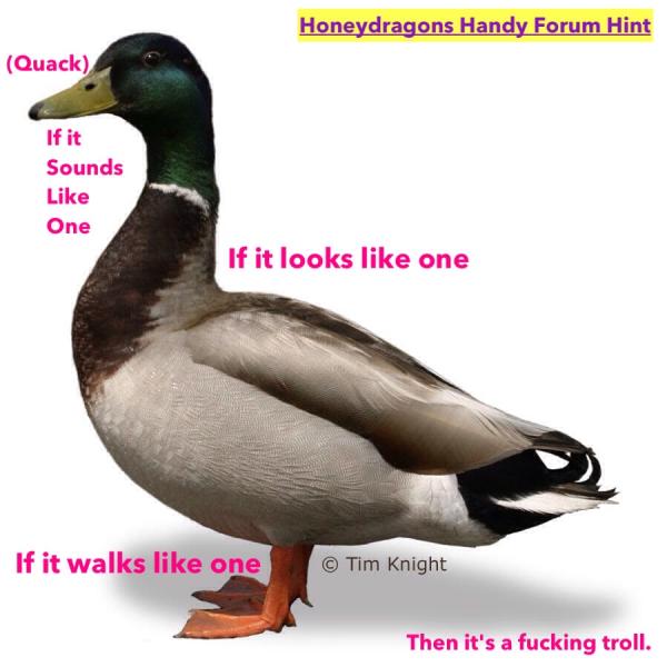 explaining gay sex