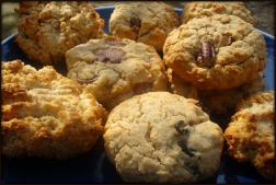 New blog posts for week starting March 17