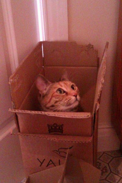 March 2013 time for shoes!