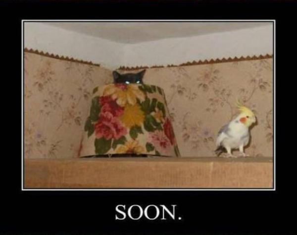 Babies due in May 2014 - is this the Definitelies final countdown?