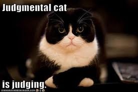 to think my neighbour is being incredibly unreasonable about our cat?