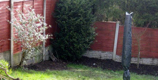 Decorative stone statues (?) for a pebbled area/rockery.