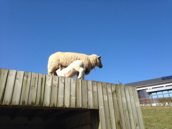 November 2012 - Spring is here, time to get our babies out and about.