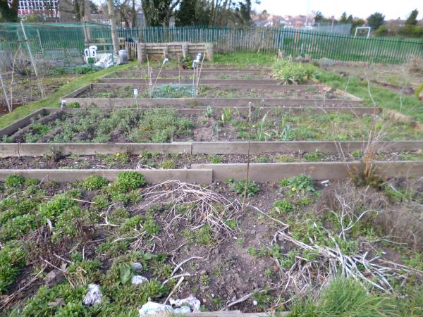 a new allotment! and docks.