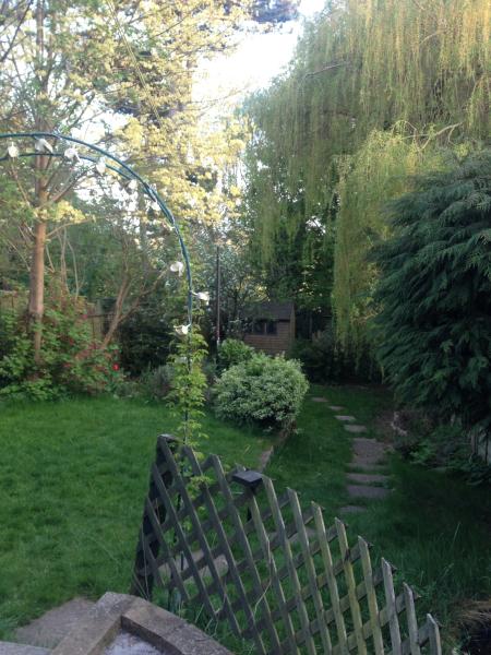 What to plant in an exposed boarder.