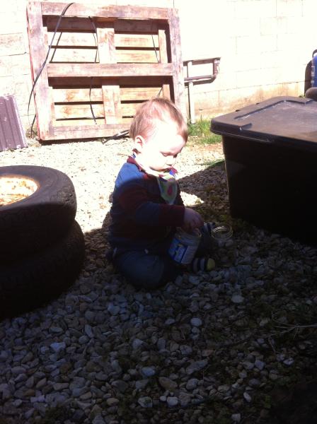 Jan 2013: hooray for tits!