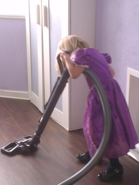Dyson Cinetic™ review  thread - The only vacuum that never loses suction is put to the MN test NOW CLOSED