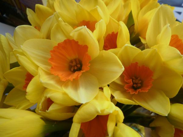 Woolly Hugs : Easter Craft Fundraiser for the fabulous charity MIND.