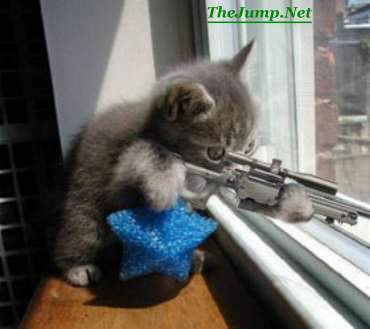 to think my neighbour is being incredibly unreasonable about our cat?