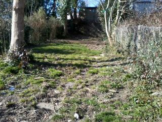 I'm finally getting a garden!!!!