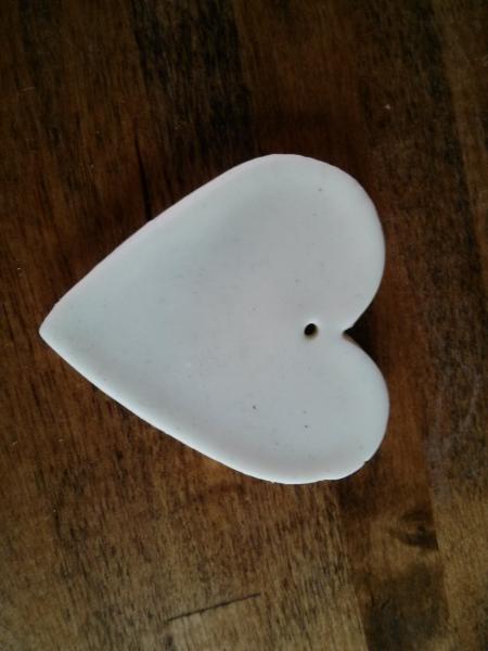 Any ideas for what to do with shells and fossils (set in resin/stick to a picture frame etc)