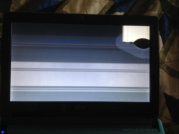 He broke my DS netbook