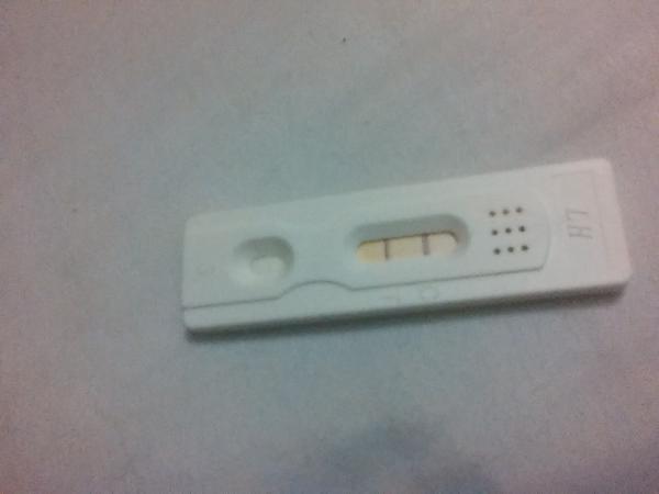 Im just SOOOO confused! please help.
