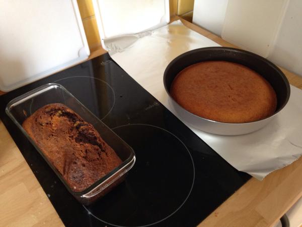 November 2012 - Spring is here, time to get our babies out and about.