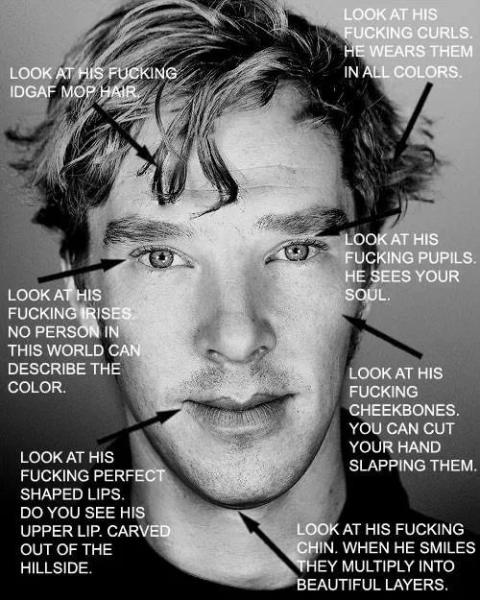 Have you been Cumberbatched? Come join the BCAS - accept no Imitations!
