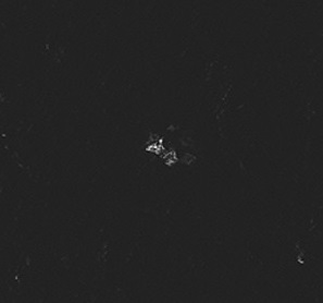 Missing Malaysia Air plane