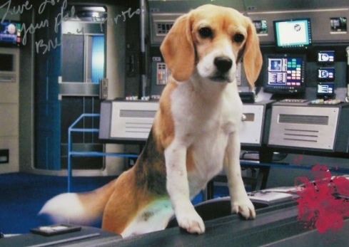 One For All And All For One. Muskewenches Are ALWAYS Ready. Part III