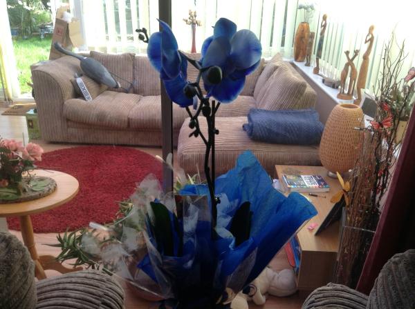 Support thread for anyone who has lost a parent ( 5 )