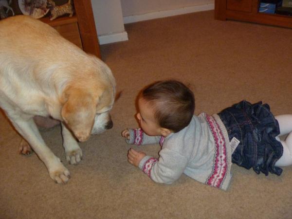 Share your favourite pet pictures for a chance to win £100 John Lewis voucher and copies of Jacqueline Wilson's Paws and Whiskers