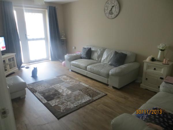 Can I put vinyl flooring in living room?