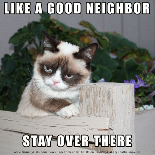 to think my neighbour is being incredibly unreasonable about our cat?