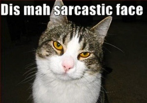 to think my neighbour is being incredibly unreasonable about our cat?