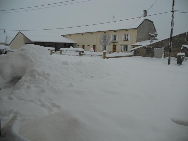 November 2012 - Walking or not walking, talking or not talking, any other skillz?