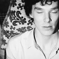 Have you been Cumberbatched? Come join the BCAS - accept no Imitations!