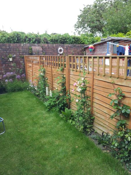 Help with screening ideas please!