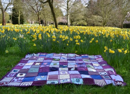 Woolly Hugs: A Blanket for TrinityRhino.