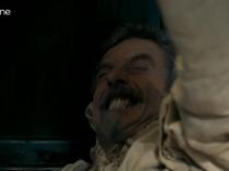 Muskewenches Unite and celebrate The big One Zero! Musketeers Appreciation thread X