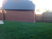 I just raked half my lawn, how long till it looks nice again?